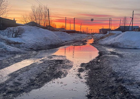 На севере области ожидается теплая и сухая погода