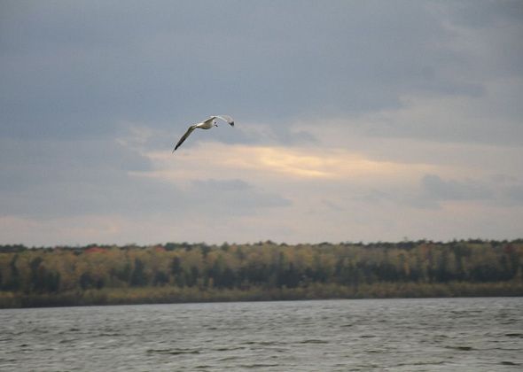 В Серове ищут подрядчика для безопасной эксплуатации Киселевского гидроузла