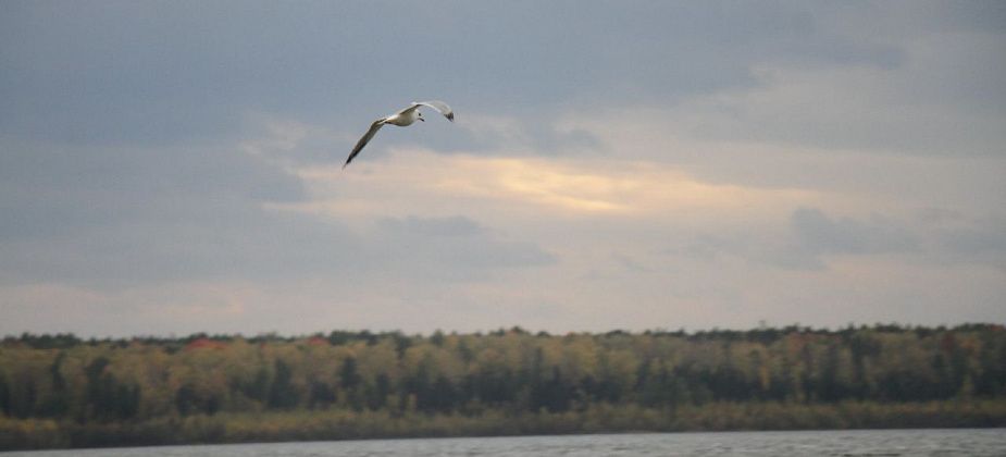 В Серове ищут подрядчика для безопасной эксплуатации Киселевского гидроузла