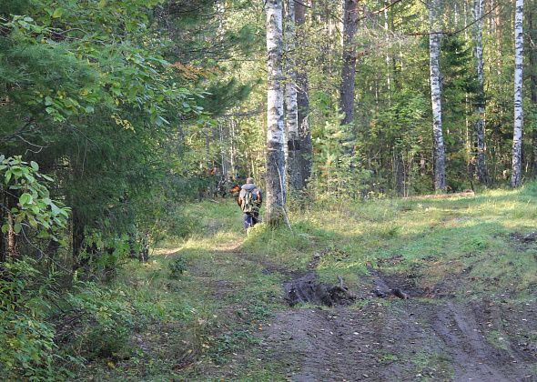 ЕДДС Серова сообщила, что в лесу под Сотрино заблудилась женщина