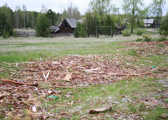 Жители Первомайского переживают из-за местного «стадиона». На поле складировали лес и не убрали мусор