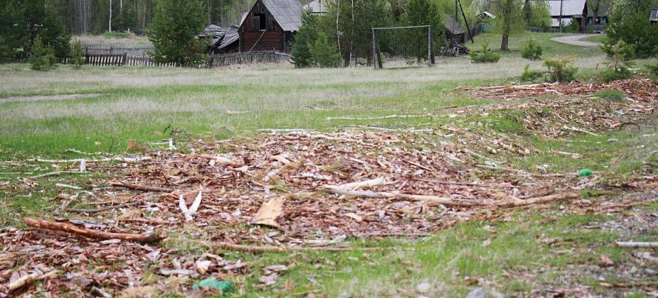 Жители Первомайского переживают из-за местного «стадиона». На поле складировали лес и не убрали мусор