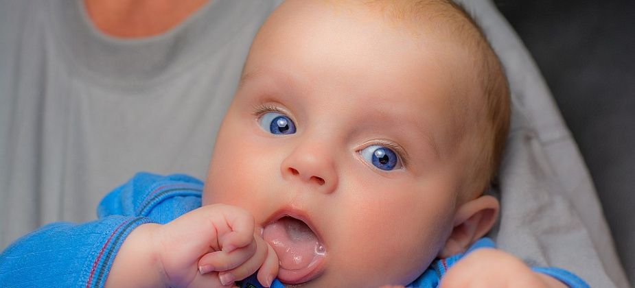 Родовые сертификаты скоро станут электронными