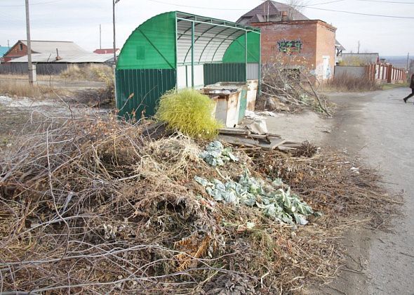 В Серове ищут компанию для содержания контейнерных площадок в частном секторе