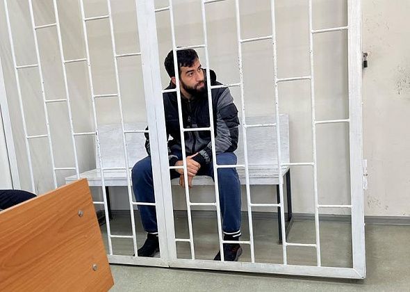 Сына владельца лесопилки, подозреваемого по уголовному делу о пожаре в Сосьве, оставили под стражей