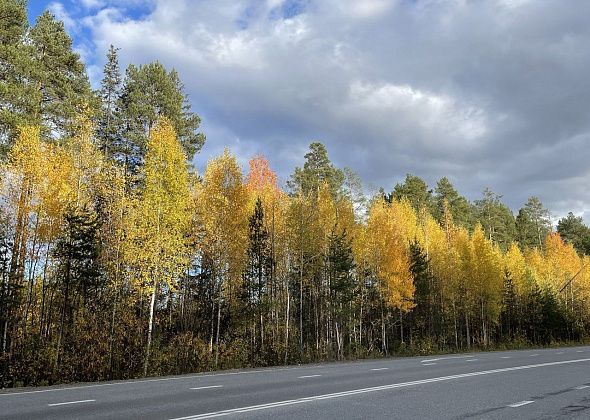 На север области тепло вернулось на неделю