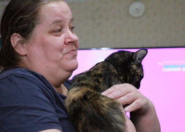 В Серове для помощи бездомным животным создали благотворительный магазин “ЗооШкаф”