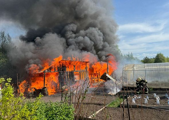 В коллективном саду под Серовом горели сарайки на двух участках
