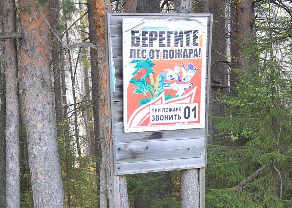 Глава Серова рекомендует руководителям лесничеств провести проверки лесозаготовителей