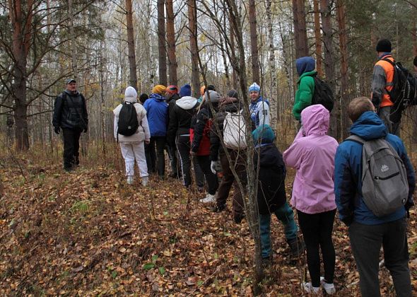 Всероссийский день ходьбы в Серове отметят прогулкой по Крутому логу