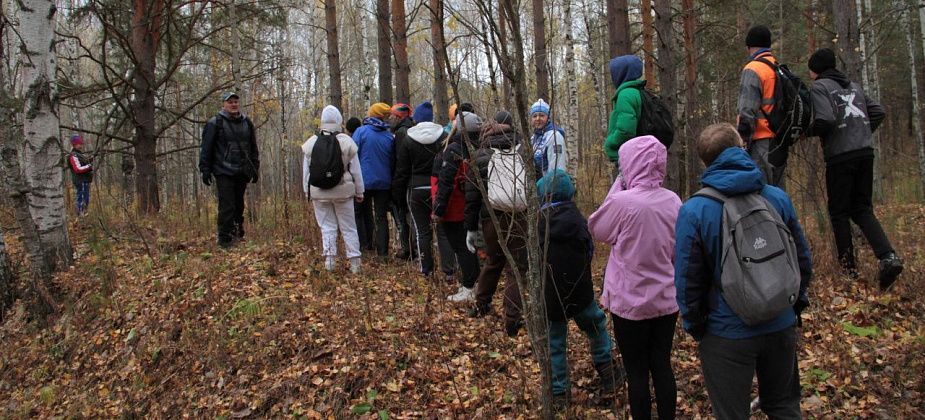 Всероссийский день ходьбы в Серове отметят прогулкой по Крутому логу