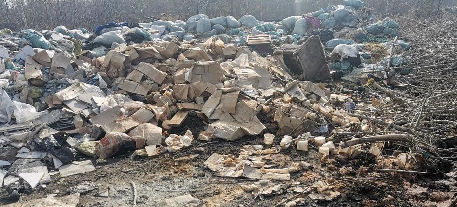 Фотоловушки не помогают. Власти Серова не знают, кто устроил свалку на дороге между Новой Колой и Медянкино