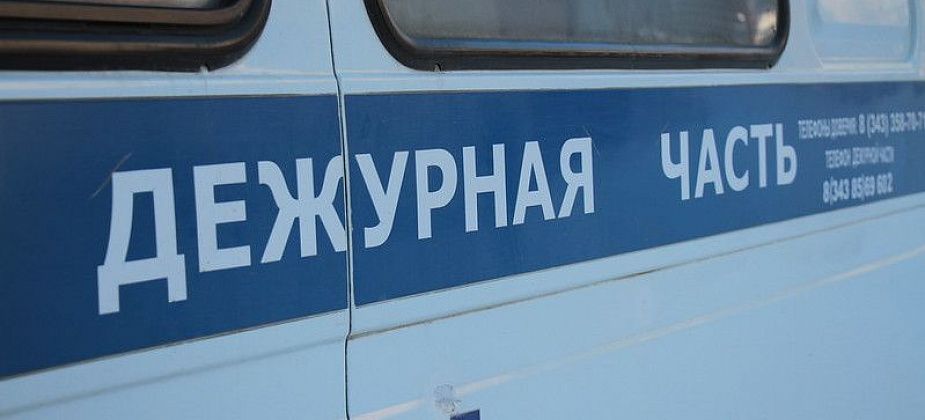 В Серове мужчину обвиняют в применении насилия в отношении полицейских. Неопасного и опасного