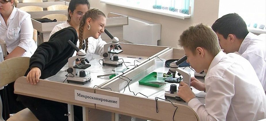 Медицина, инженерия, педагогика, агрономия. В школах готовят будущие кадры для Серова