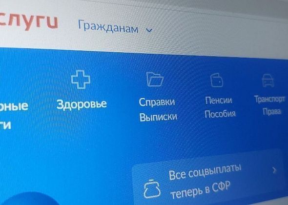 Роспотребнадзор и Минцифры запускают «электронную книгу жалоб» на Госуслугах