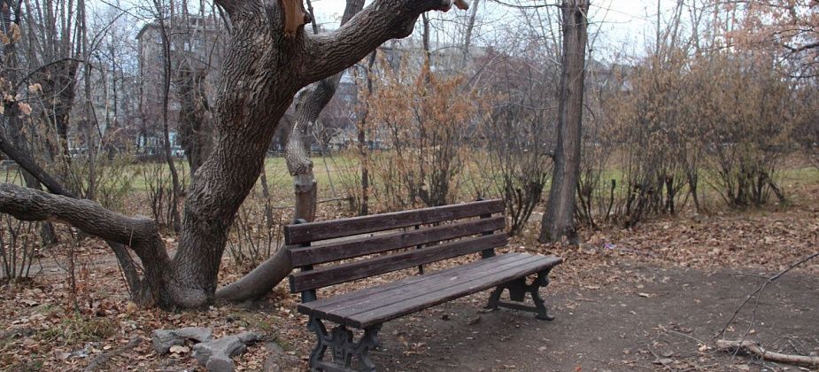 Серовчане жалуются, что подростки утаскивают скамьи с их штатных мест у ДКМ