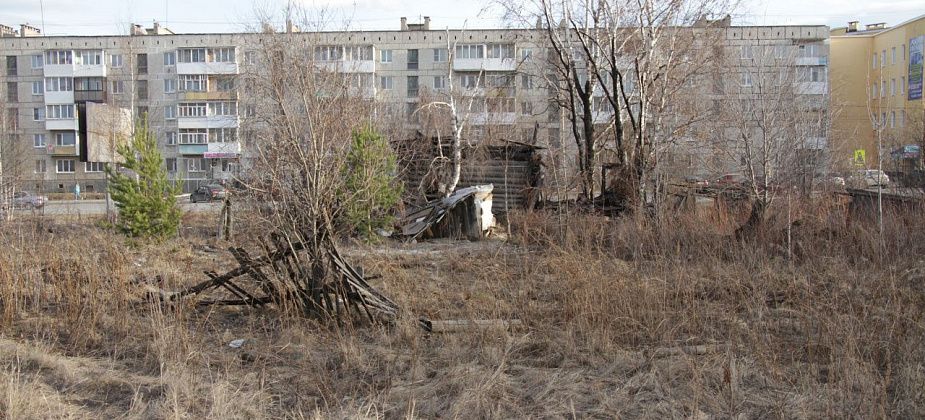 "Бродячие собаки - те же бомжи". Кто и зачем строит в Серове будки для бездомных животных?