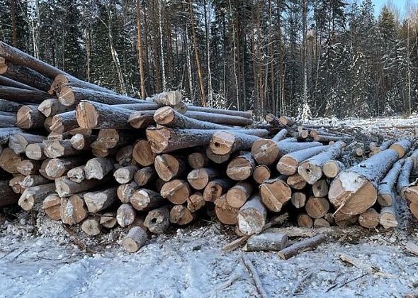 Сосьвинское ЛИУ-23 выполнило планы по заготовке и переработке леса