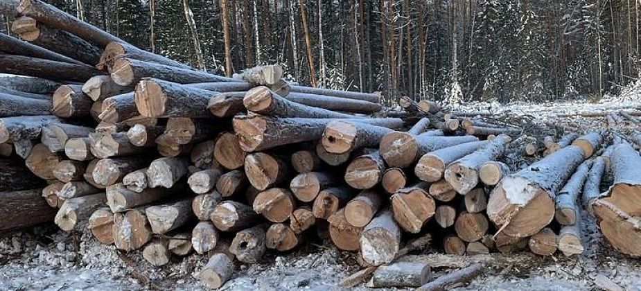 Сосьвинское ЛИУ-23 выполнило планы по заготовке и переработке леса