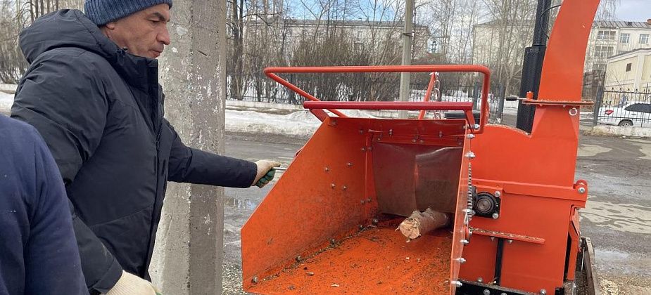“Пилим и измельчаем”. В Серове началось кронирование деревьев