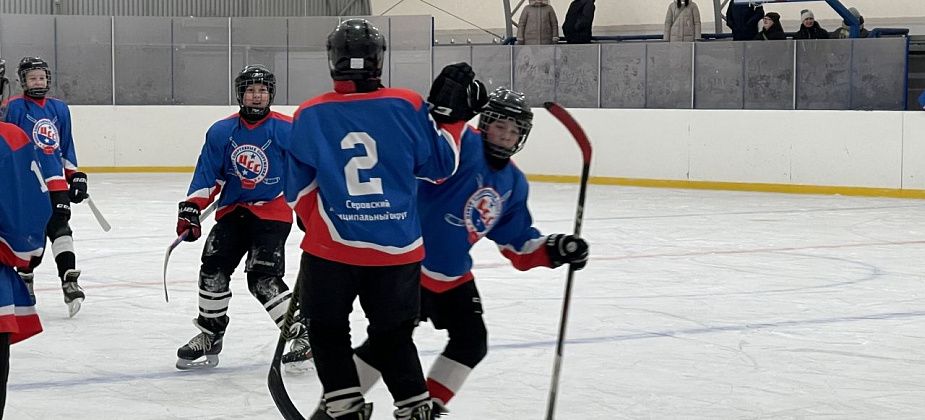 В Серове на корте "Алмаз" пройдет турнир по хоккею среди детских команд
