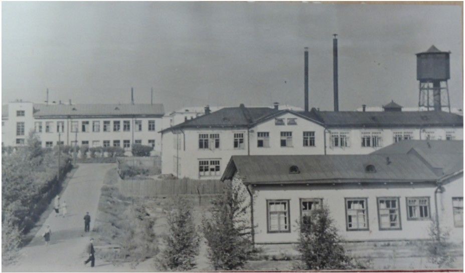 Когда-то в Больничном городке было 27 зданий разного назначения. Фото из фондов Серовского исторического музея, с сайта goskatalog.ru
