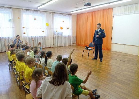 В преддверии Дня создания Госпожнадзора ветеран службы посетил детский сад «Умка» 